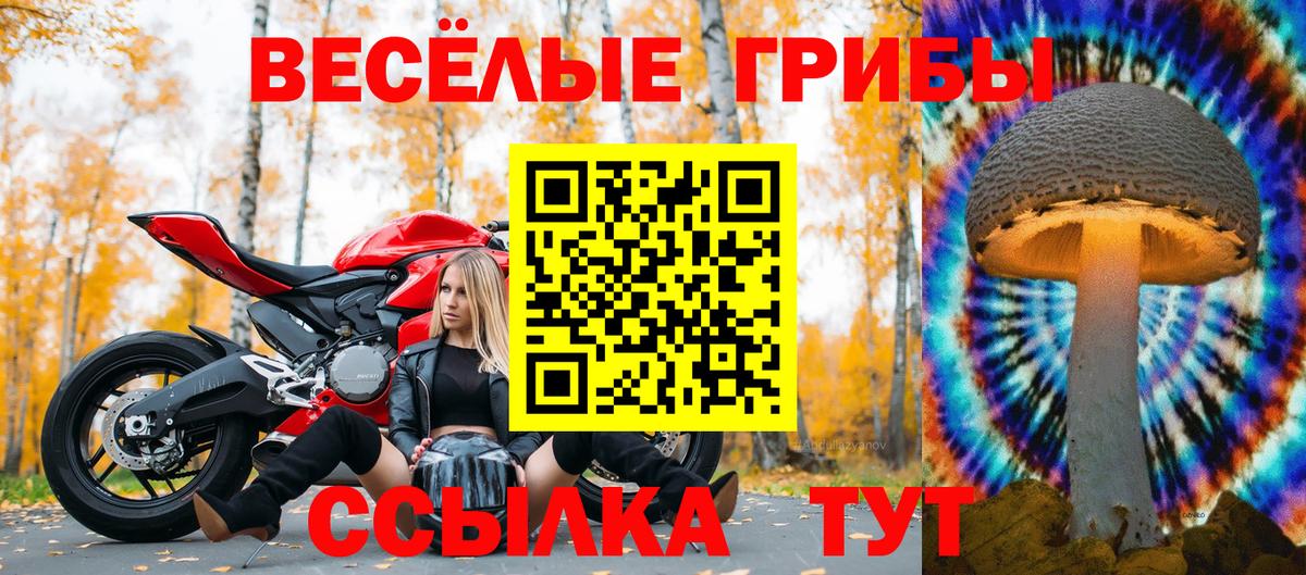 Галлюциногенные грибы мухоморы Орехово-Зуево