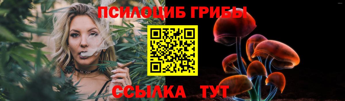 Галлюциногенные грибы GOLDEN TEACHER  Галлюциногенные грибы мицелий  Вход с VPN  Орехово-Зуево 
